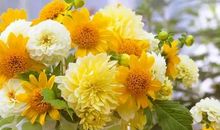 关于形容老人开心的句子 描述老人高兴的句子