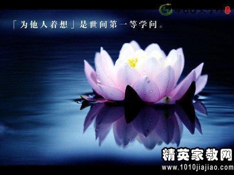 新年抒情优美的句子