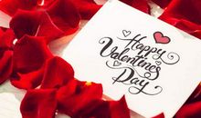 给领导祝福短信大全