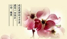 有关新年的励志句子