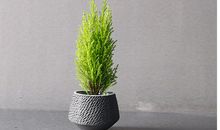 笑不代表我开心的短句子 笑并不总意味着快乐