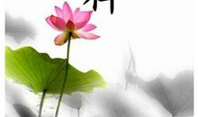 领悟人生的经典语句