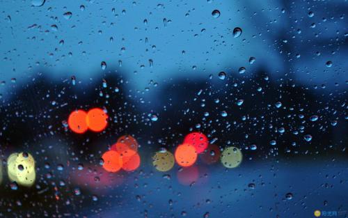 关于雨的审美句子