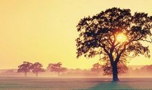 2017经典感悟人生说说