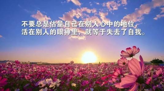 用来形容心情不好的人的句子