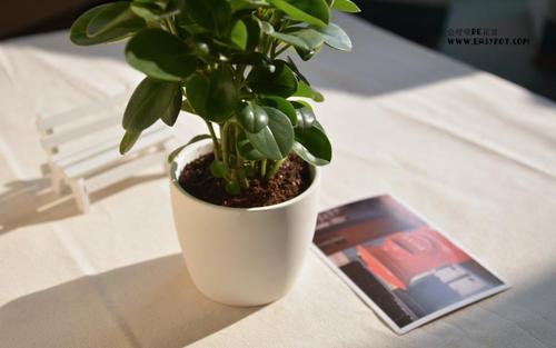 超时工作的句子但很高兴超时工作的句子很高兴1