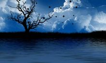 优美抒情的句子