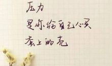 形容领悟的句子