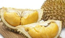 关于榴莲的句子