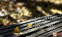 有关爱情的经典说说