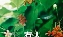 无聊的经典句子