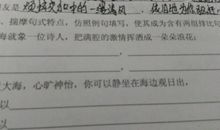 用排比句写人