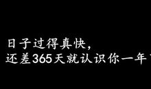 蕴含哲理的爱情句子