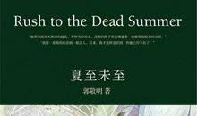 夏至未至经典句子