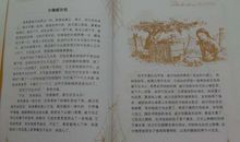 夏洛的网经典句子