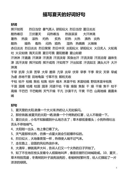 夏天的好单词和句子