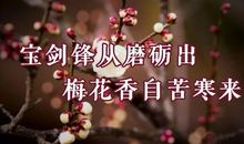 正能量句子大全