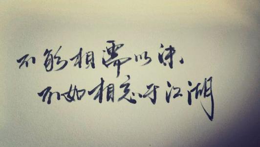 朱贤的经典句子