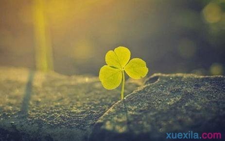 微商早安正能量句子