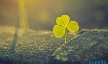 微商早安正能量句子