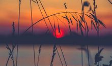 形容去游玩开心的句子 形容出去溜达开心的句子