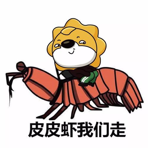 2017年互联网流行语