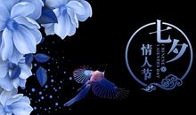 七夕节的诗句大全