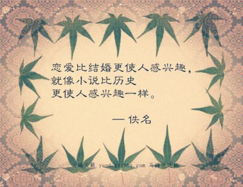 哲学的爱情句子