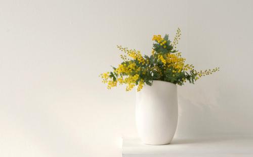 表面上永远快乐的句子表面上永远快乐的句子1