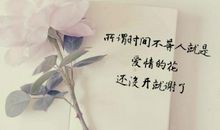 简短深情的爱情句子