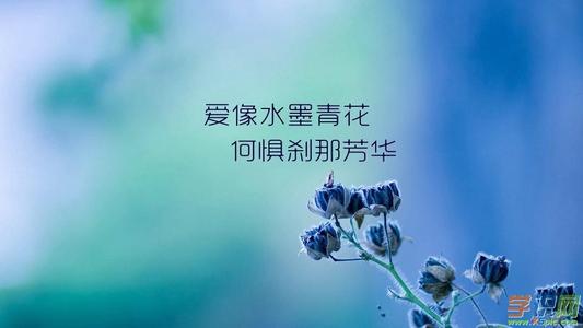 鄙视表现感情的句子