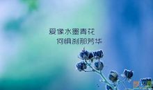 鄙视秀恩爱的句子