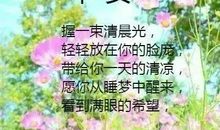 令人温暖的一句话