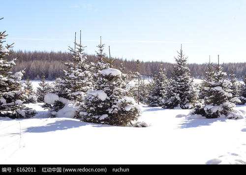 一个很好的部分描述了冬天的美丽