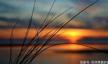 唯美励志的句子长的