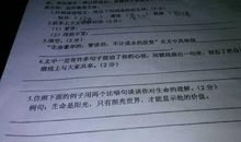 关于抒情议论的好句子