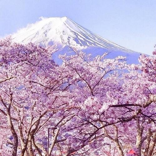 关于世俗经典句子