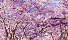 关于世俗经典句子