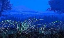 形容夜空的句子