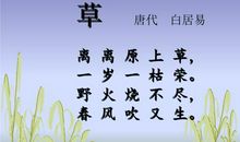 描写春草的诗句大全