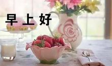 早上心情好的说说