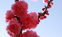 2017早安心语正能量