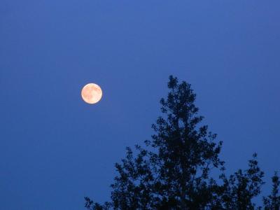 美丽的句子描述月光