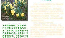 保险公司激励短信大全