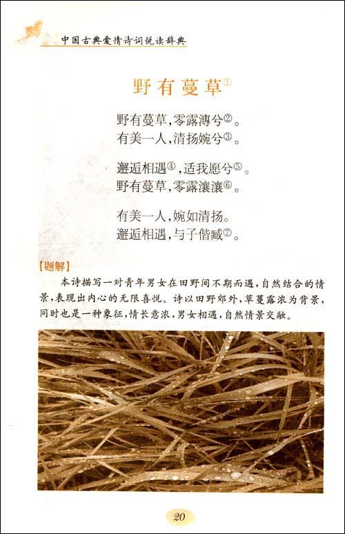 古代和现代爱情诗的名言