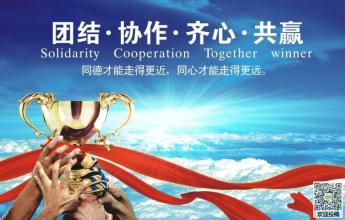 团结与动力
