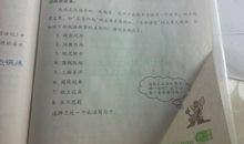 描写春雨的词语