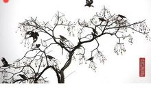 古人借月抒怀的诗句