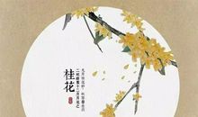 桂花诗句大全