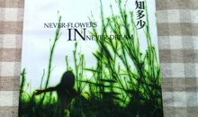 郭敬明梦里花落知多少经典语录